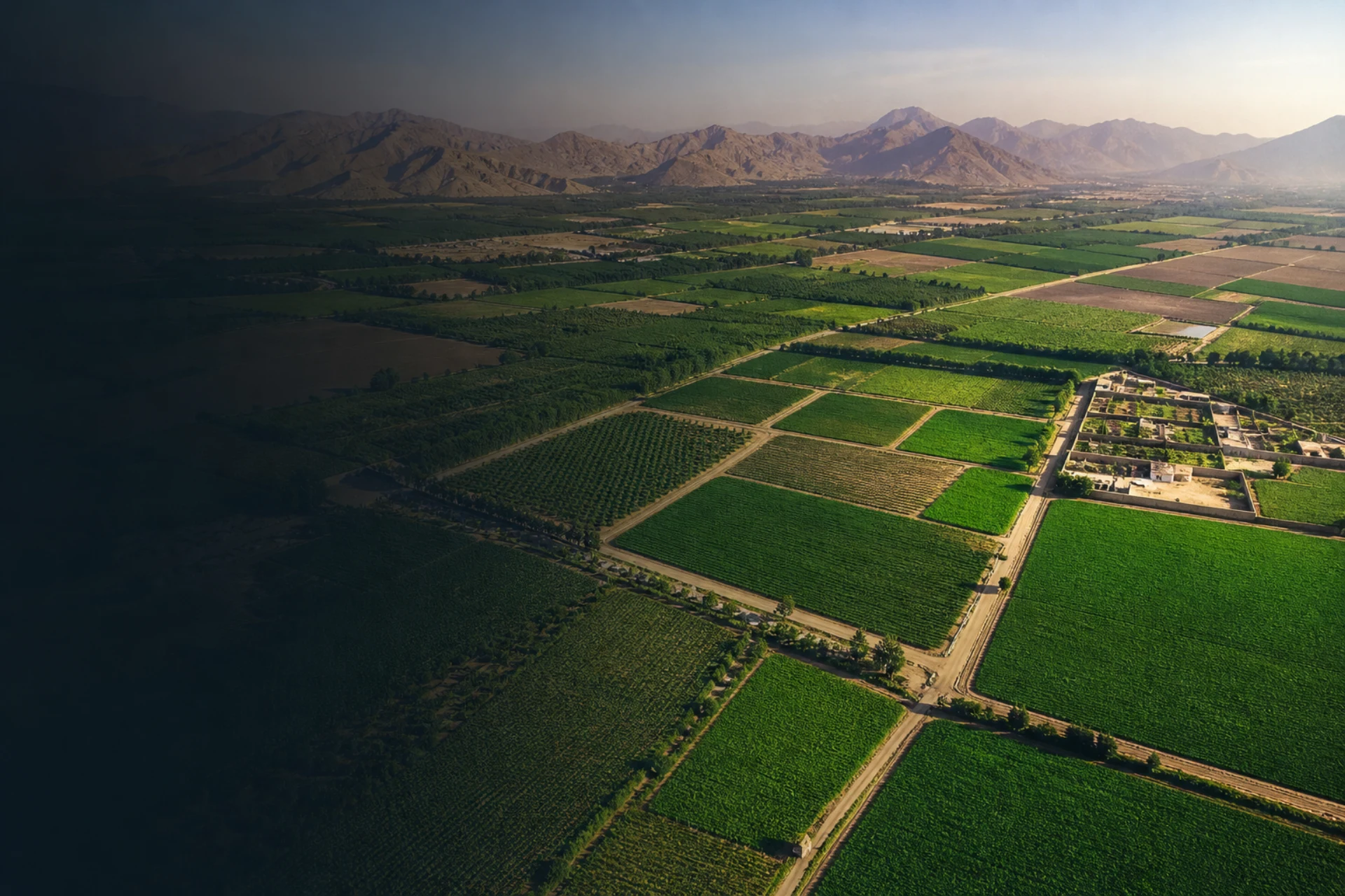 Vista aérea de terrenos agrícolas en el valle de Huaral
