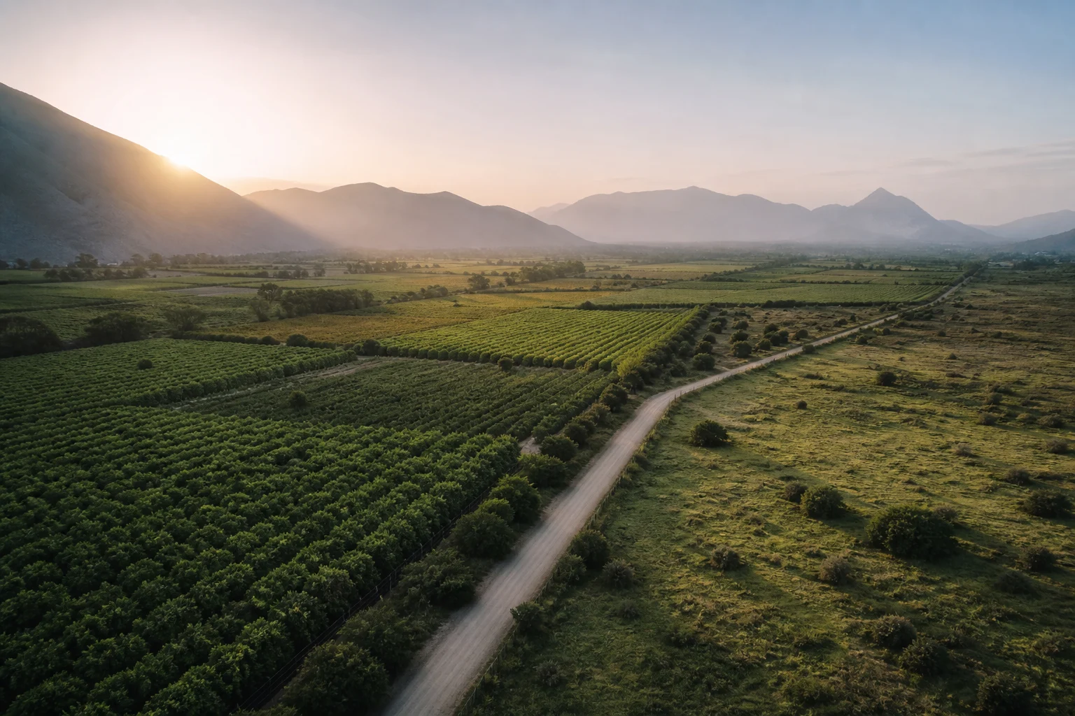 Vista referencial de un valle agrícola en Huaral