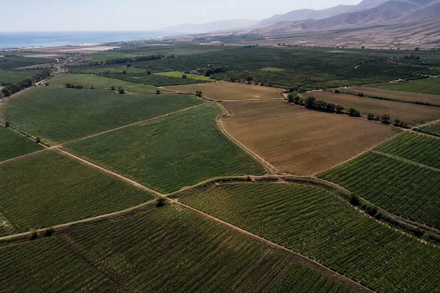 Vista referencial de terrenos agrícolas de la costa central del Perú